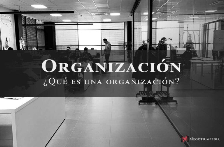 que es una organizacion