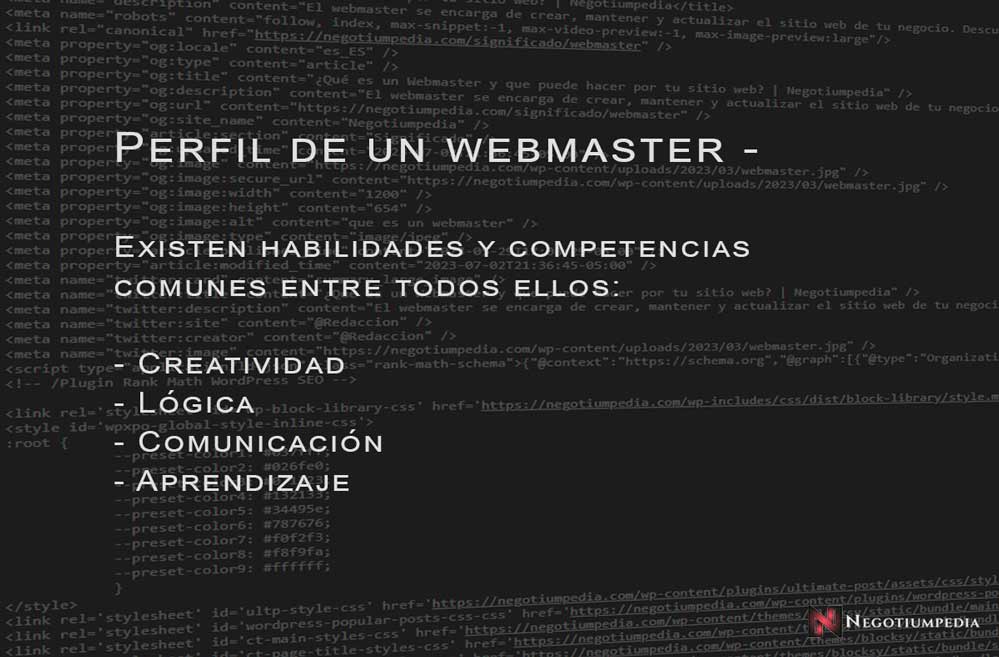 perfil de un webmaster